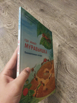 Фридерун Райхенштеттер: Где живёт муравьишка. Познавательные истории