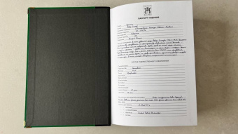 Федор Сологуб: Земные дети. Рассказы. Новеллы. Легенды