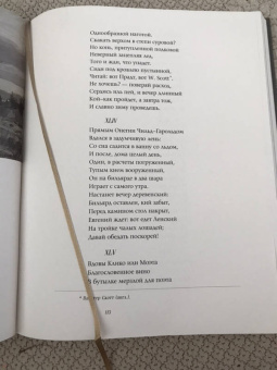 Александр Пушкин: Евгений Онегин