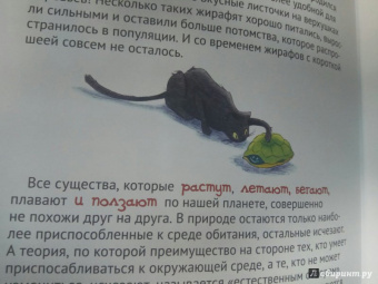 Альтер, Кан: Удивительная генетика