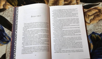 Рене Ахдие: Роза и кинжал