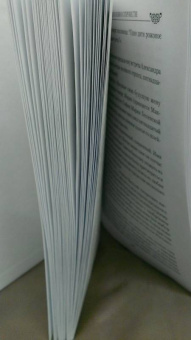 Николай Шахмагонов: Александр II в любви и супружестве