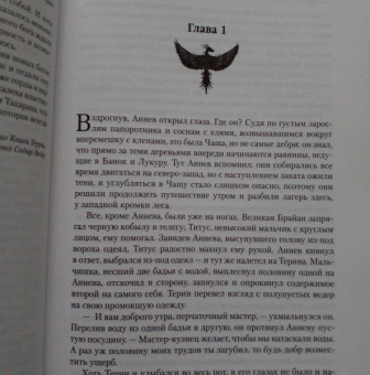 Джастин Колл: Молчаливые боги. Книга 2. Мастер артефактов