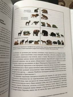 Андрей Шпанский: О мамонтах и их спутниках. Палеоэкология мамонтовой фауны