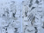 Кафка Асагири: Проза бродячих псов. Том 7