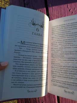 Стейси Браун: Дикие Земли