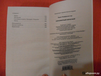 Одри Ниффенеггер: Соразмерный образ мой