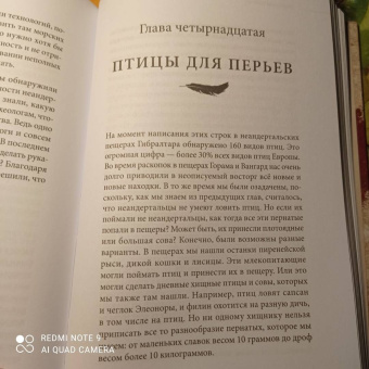 Клайв Финлейсон: Умный неандерталец. Охота на птиц, пещерное искусство и когнитивная революция
