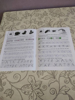 Прописи для дошкольников. Печатаем буквы, слоги, слова. ФГОС ДО