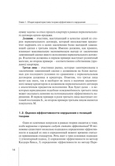 Руслан Зардов: Теория эффективного нарушения. Анализ, критика, перспективы. Монография