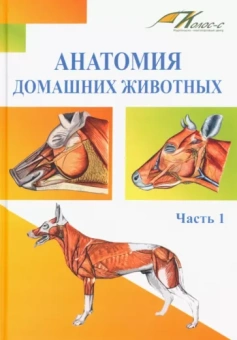 Слесаренко, Баймишев, Хрусталева: Анатомия домашних животных. Учебник. Часть 1