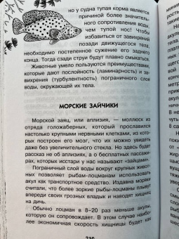 Борис Сергеев: Тайны океана