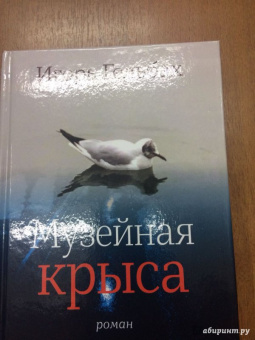 Игорь Гельбах: Музейная крыса