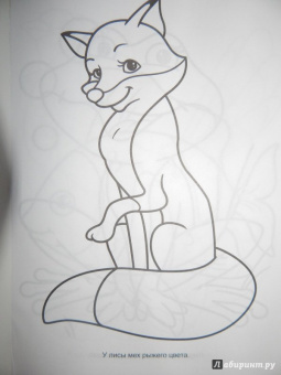 Большая раскраска "Животные"