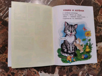 Ирина Шестакова: Домашние животные