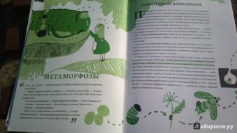 Баюк, Виноградова, Кноп: Алиса в Стране наук