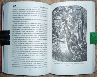 Рид Майн: Письмо и пуля