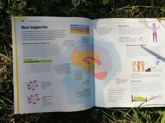 Уинстон, Антробус, Дэй: Как помочь ребенку повзрослеть. Иллюстрированное руководство для родителей по переходному возрасту