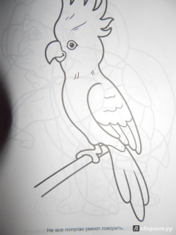 Большая раскраска "Животные"