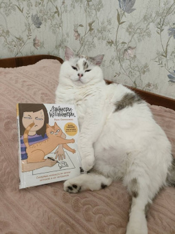 Елена Соломонова: Лакшери-Котакшери. Смешные комиксы из жизни котиков и их человеков