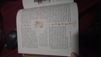 Джек и золотая табакерка. Сказки народов Великобритании и Северной Ирландии