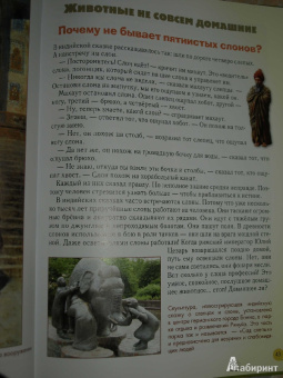 Светлана Лаврова: Домашние животные
