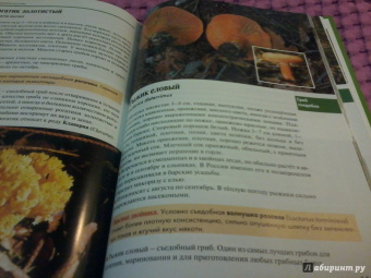 Федор Карпов: Грибы средней полосы России. Атлас-определитель