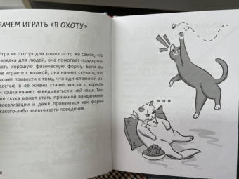 Анна Орлова: Самяучитель. Как правильно играть с кошкой