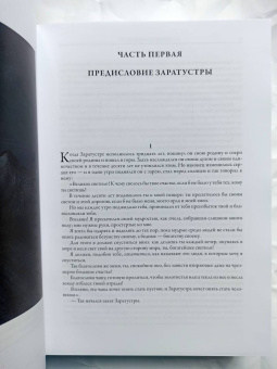 Фридрих Ницше: Так говорил Заратустра. Ecce homo. Антихрист. Сумерки идолов. Веселая наука