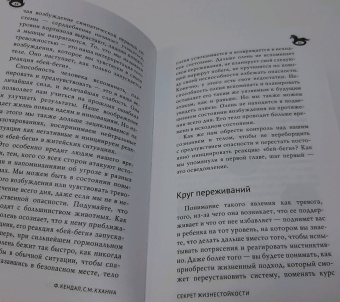 Кендал, Кханна: Секрет жизнестойкости. Руководство для родителей по воспитанию уверенных детей и подростков