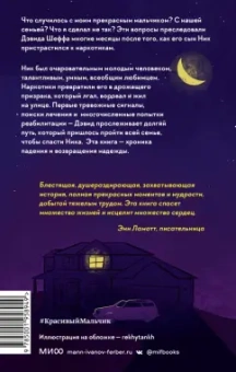 Дэвид Шефф: Красивый мальчик. Правдивая история отца, который боролся за сына
