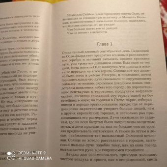 Ю Несбё: Полиция