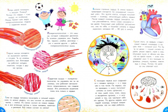 Вера Иванова: Как устроен человек?