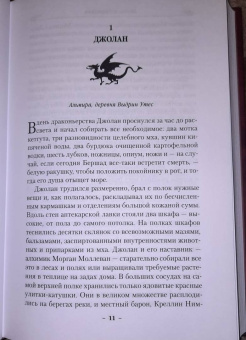 Брайан Наслунд: Драконы Терры. Книга 1. Кровь изгнанника