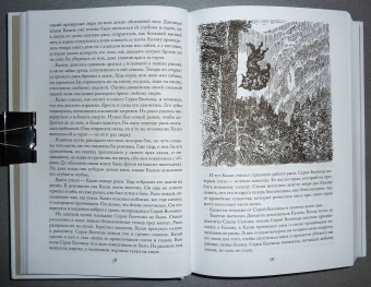 Джеймс Кервуд: Бродяги Севера