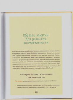 Нят Тхить: Семена внимательности