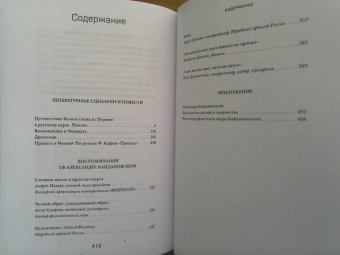 Александр Кайдановский: Чужой среди своих