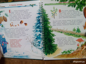 Татьяна Елумеева: Растения