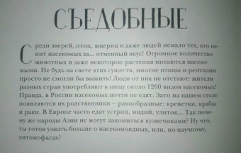 Франсуа Лассерр: Музей живых насекомых