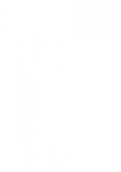 Серджио Росси: Карусель. Графический роман