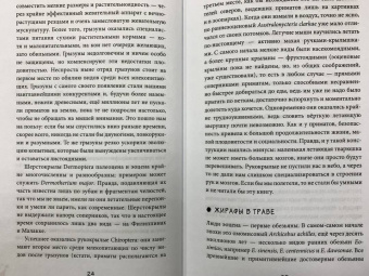Станислав Дробышевский: Почему жирафы не стали людьми и другие вопросы эволюции