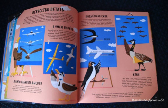 Кристиан Дорион: Придумано животными