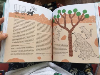 Хорст тер: Пальмы на Северном полюсе. Большой рассказ об изменении климата