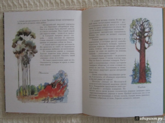 Николай Осипов: Заколдованное дерево