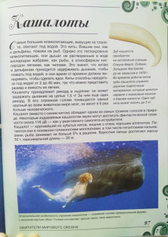 Вячеслав Ликсо: Большая книга о подводном мире. 1001 фотография