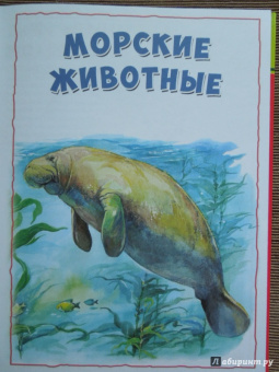 Моя первая книга о животных