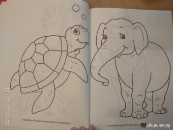 Большая раскраска "Животные"