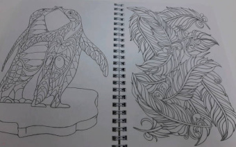 Раскраска антистресс. Животный мир