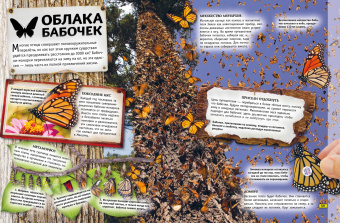 Бедуайер, Паркер, Фарндон: Животные. Книга юного эрудита