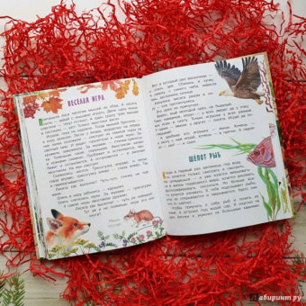 Николай Сладков: Лесные сказки